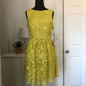 Adrianna papel lace dress